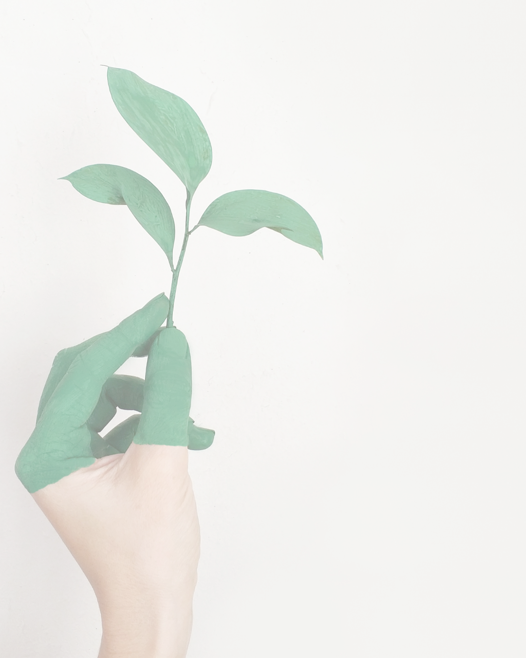 Sostenibilità: ci crediamo davvero?