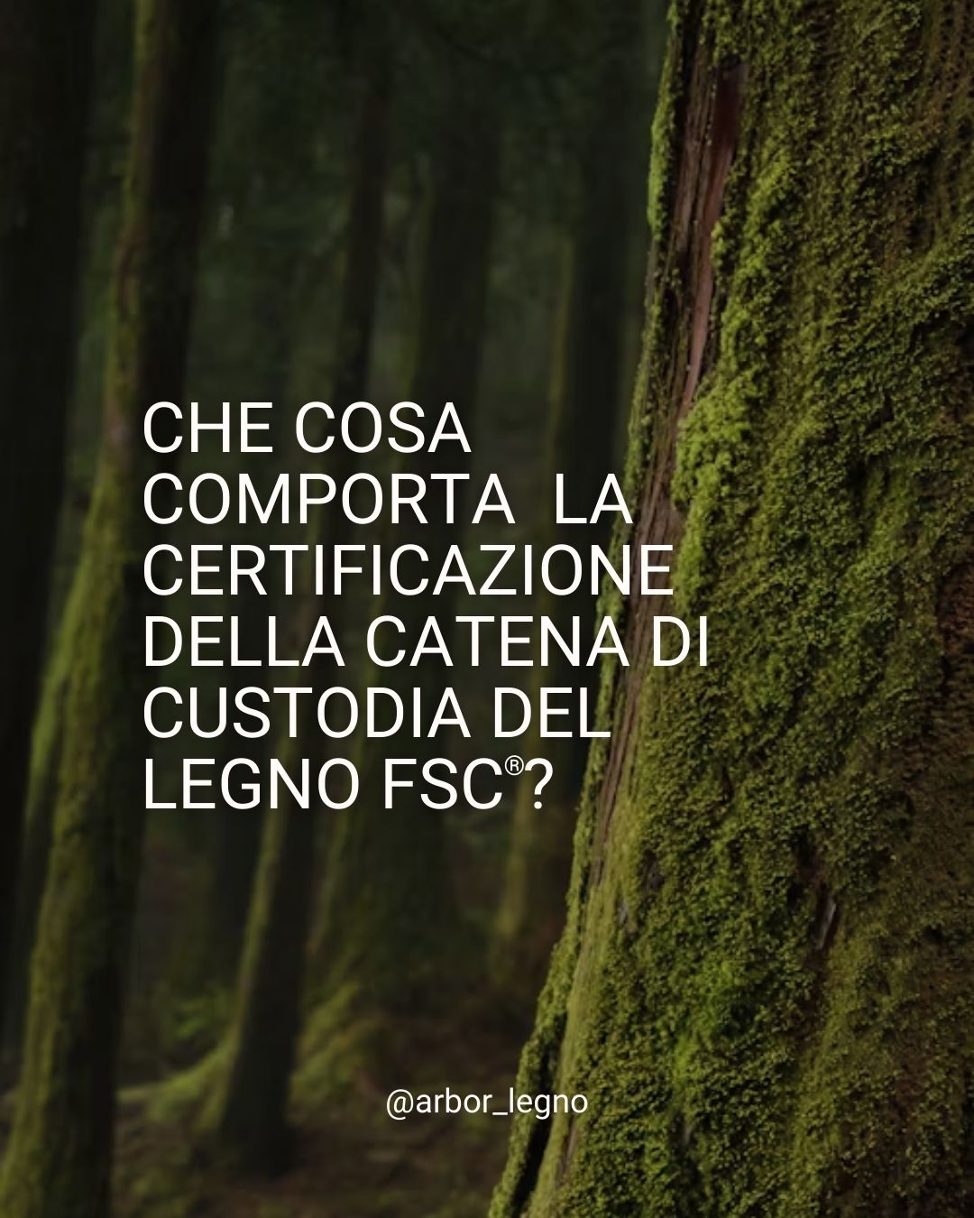 certificazione FSC