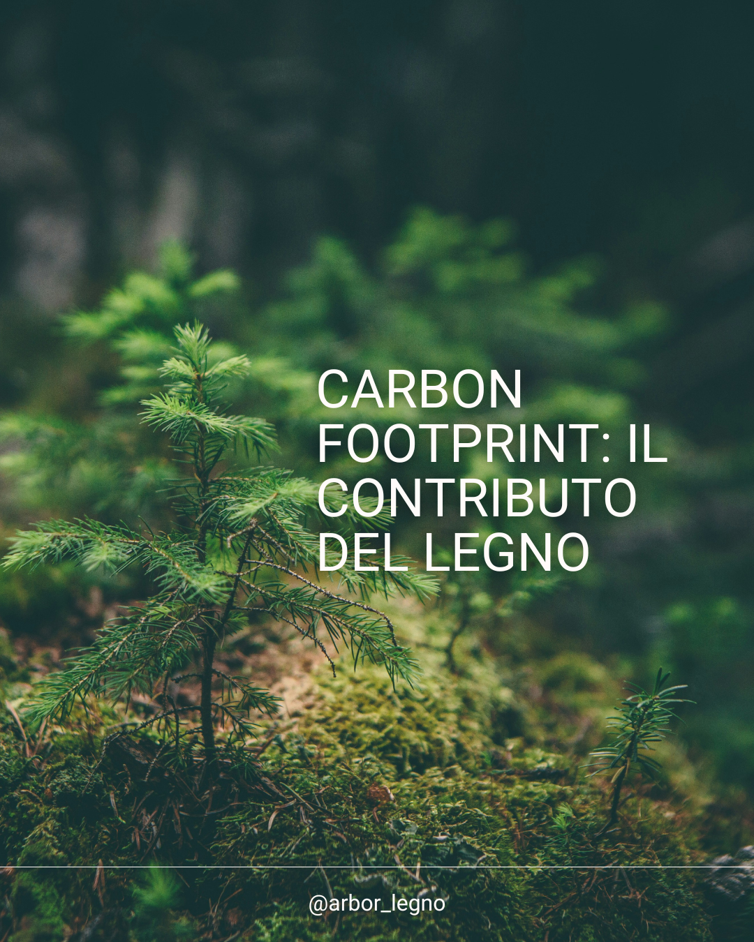 carbon footprint